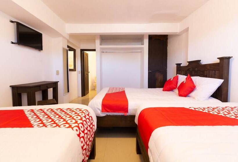 فندق Punta Guadalupe