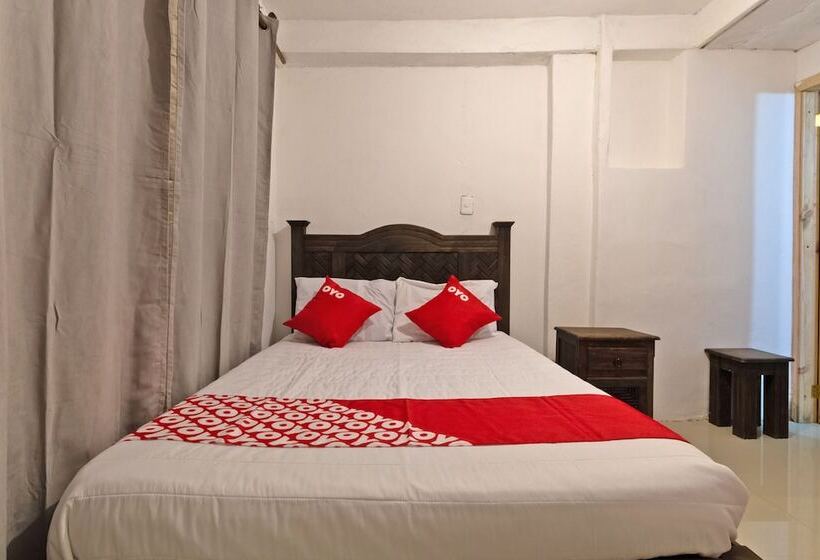 فندق Punta Guadalupe