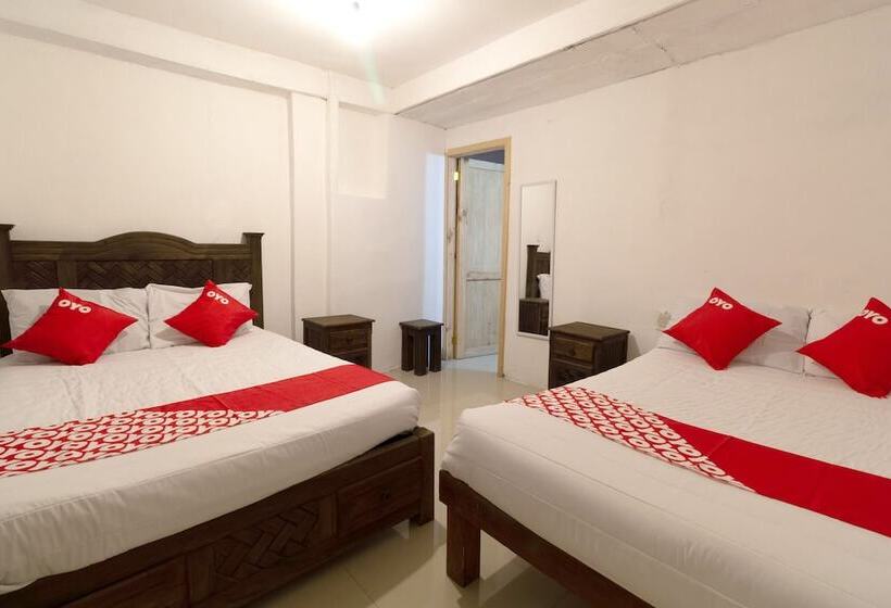 فندق Punta Guadalupe