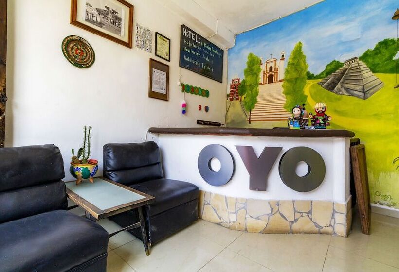 فندق Punta Guadalupe