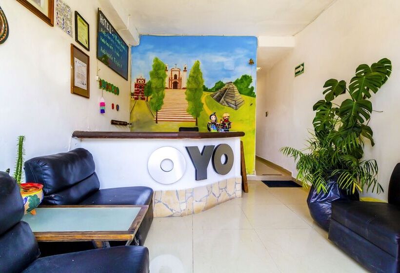 فندق Punta Guadalupe