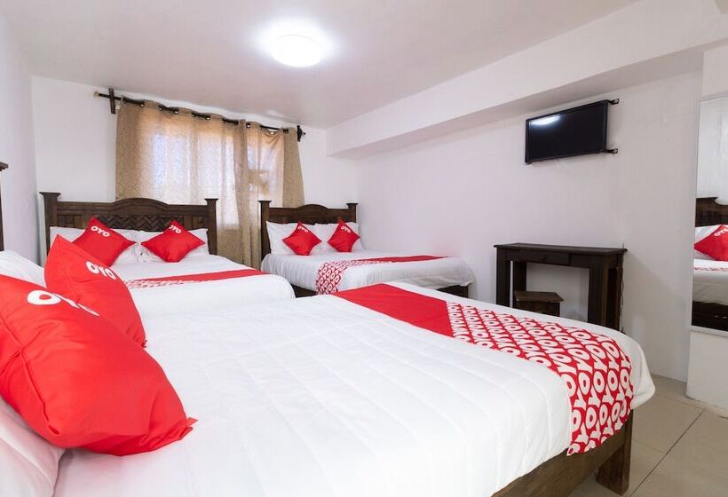 فندق Punta Guadalupe