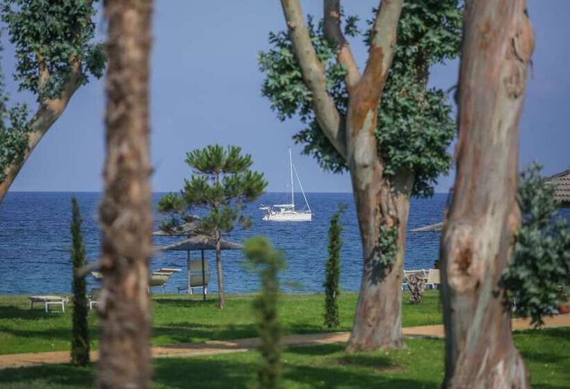 Отель Hôtel San Lucianu