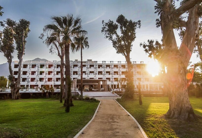 Отель Hôtel San Lucianu