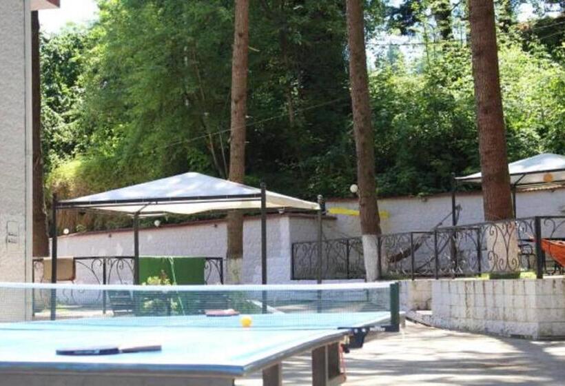 هتل Nine Brothers