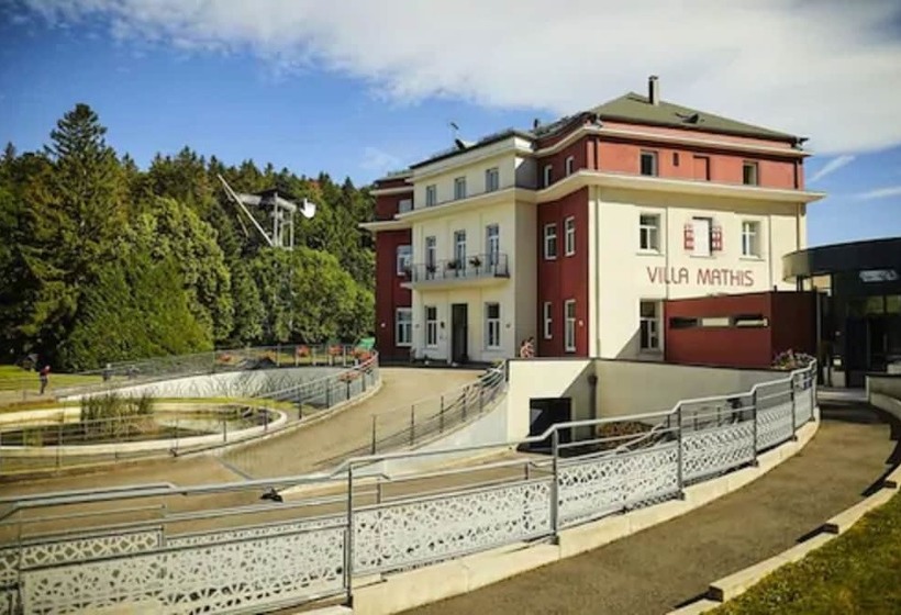 Отель Villa Mathis
