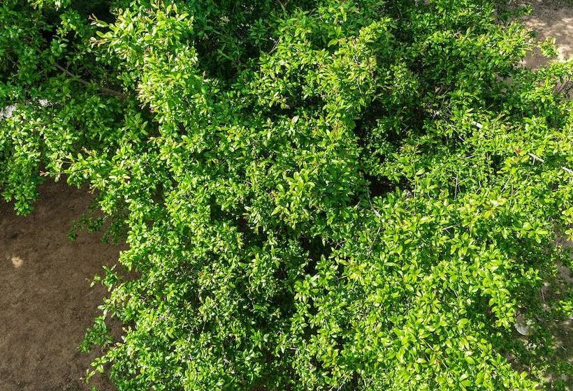 Lux Airport Apartment