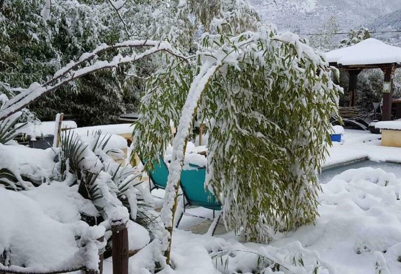 بنسيون Les Bambous B&b