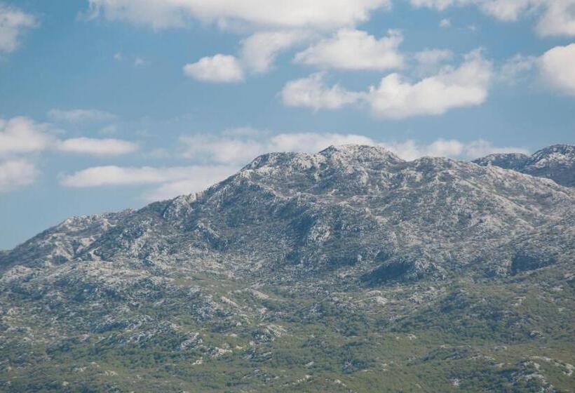 بنسيون San Mihael Luxury Rooms 1