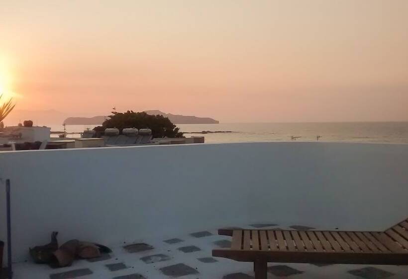 Roof Garden Seaside Lux Home