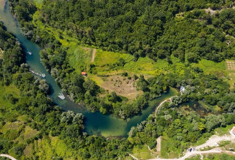 Sunflower House With A Pool