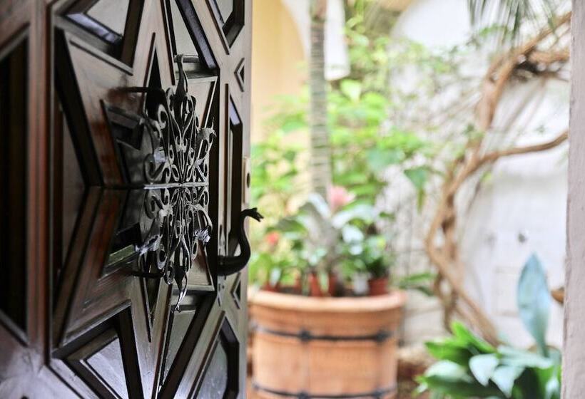 צימר El Palace Del Puerto