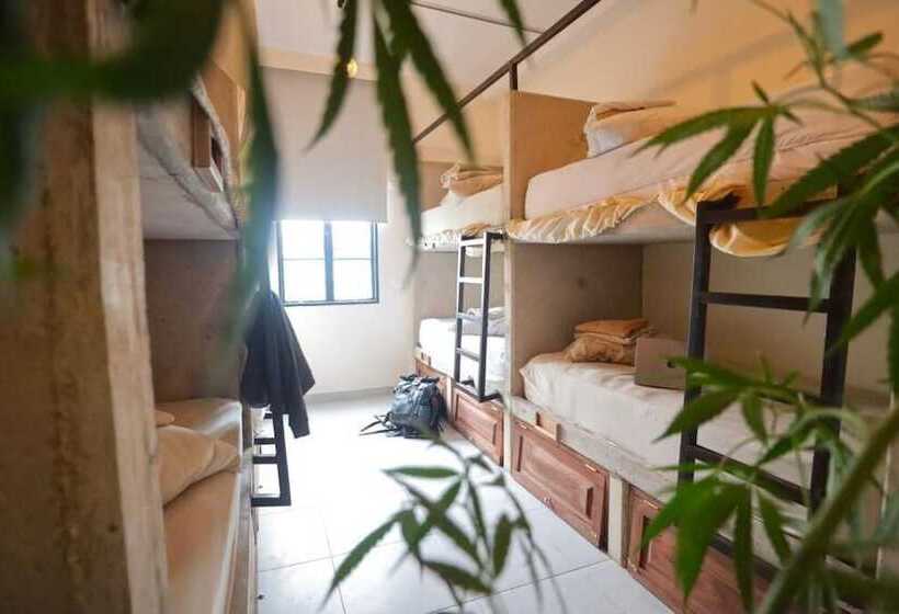 Distrito Hostel