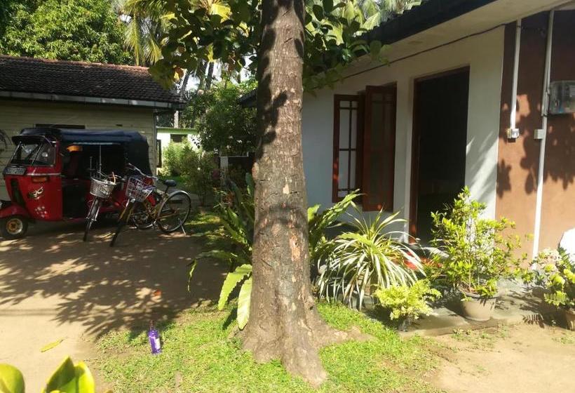 Пансион Arani Homestay