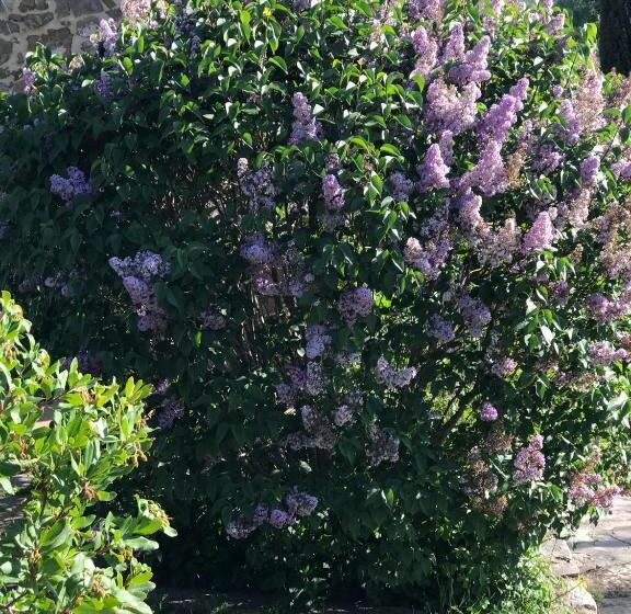 منتجع Antichi Casali