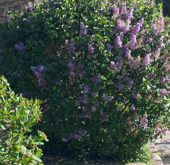 리조트 Antichi Casali