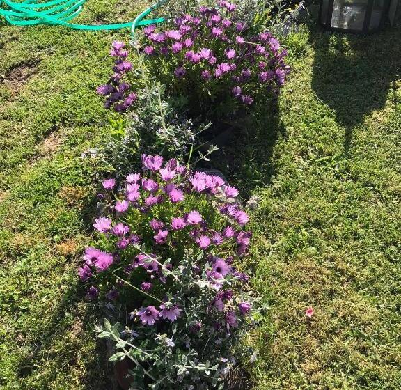 리조트 Antichi Casali