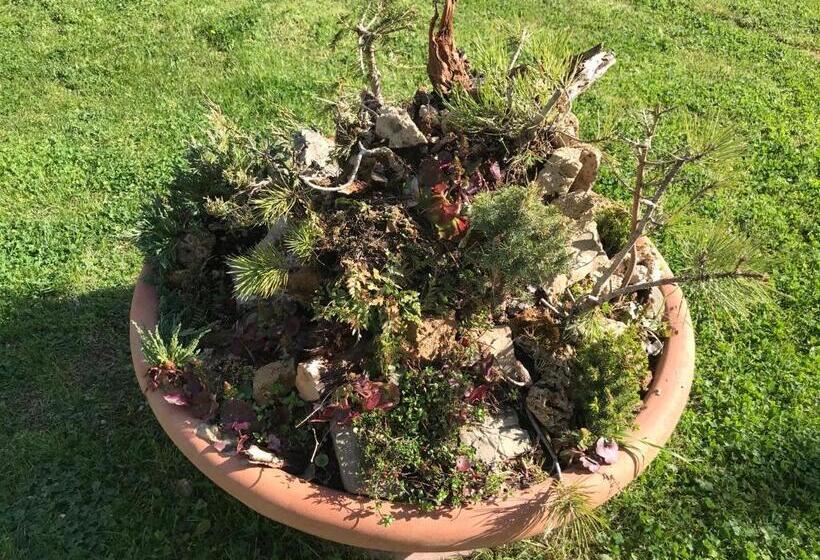 리조트 Antichi Casali