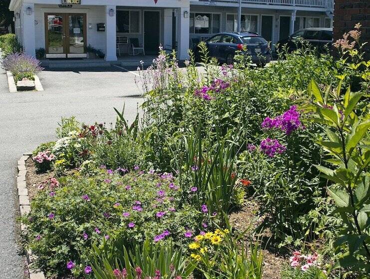 Bar Harbor Villager Motel   Downtown