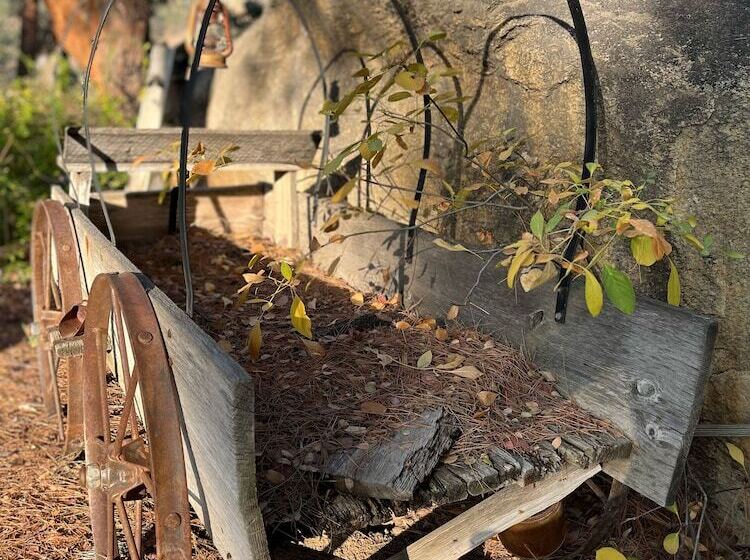 민박 Whispering Pines Lodge