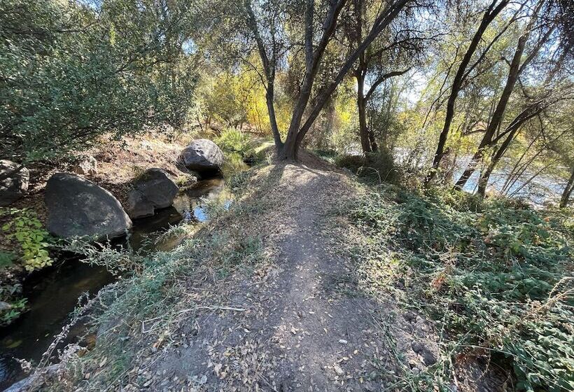 민박 Whispering Pines Lodge