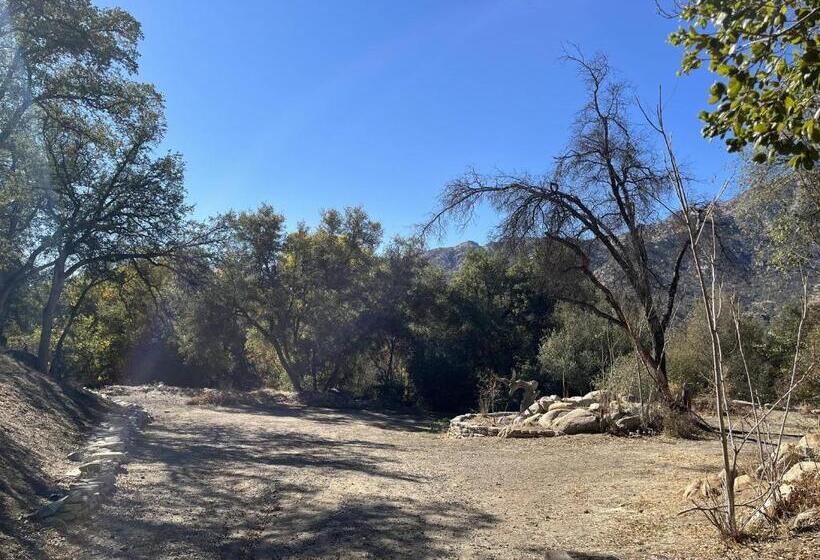 민박 Whispering Pines Lodge