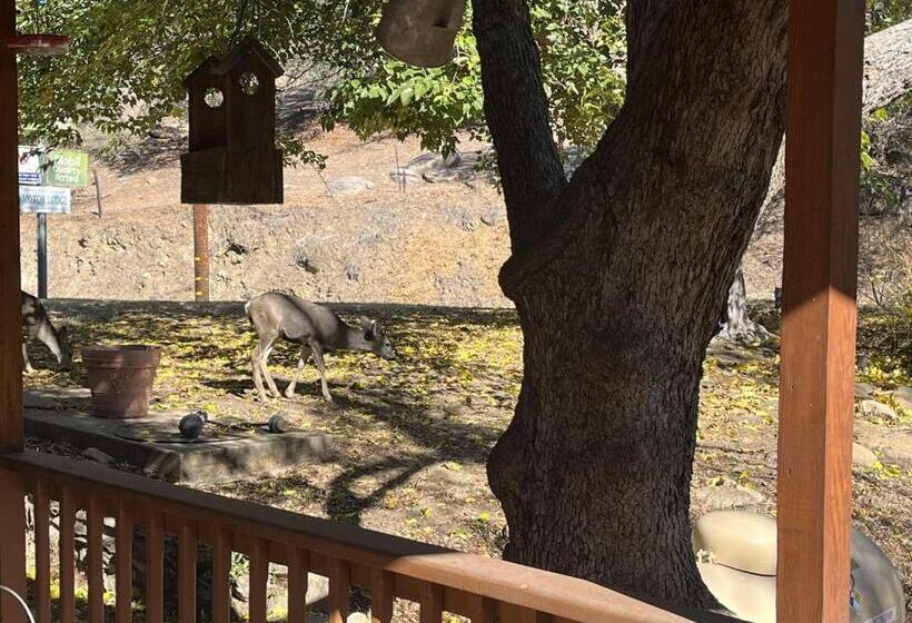 민박 Whispering Pines Lodge