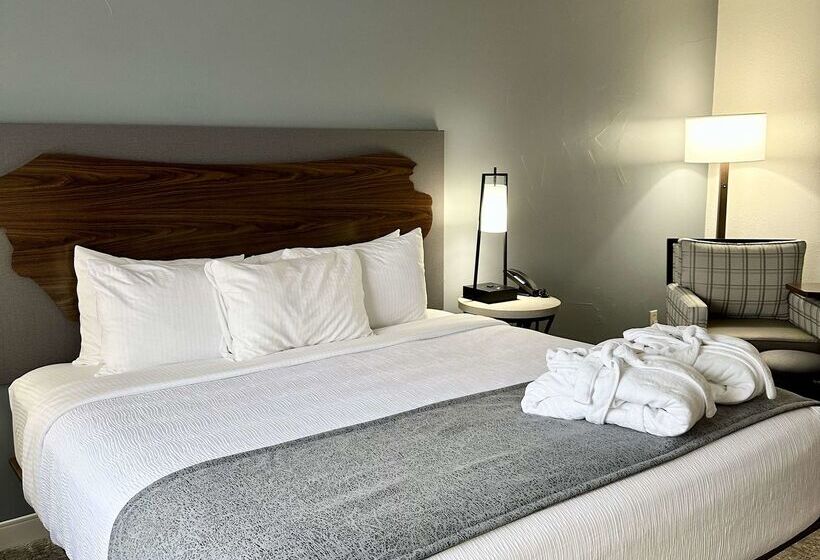 فندق Best Western Vista Inn