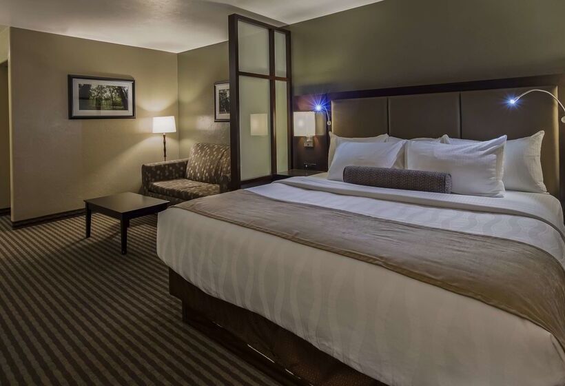 فندق Best Western Vista Inn