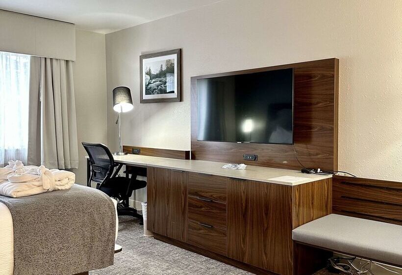 فندق Best Western Vista Inn