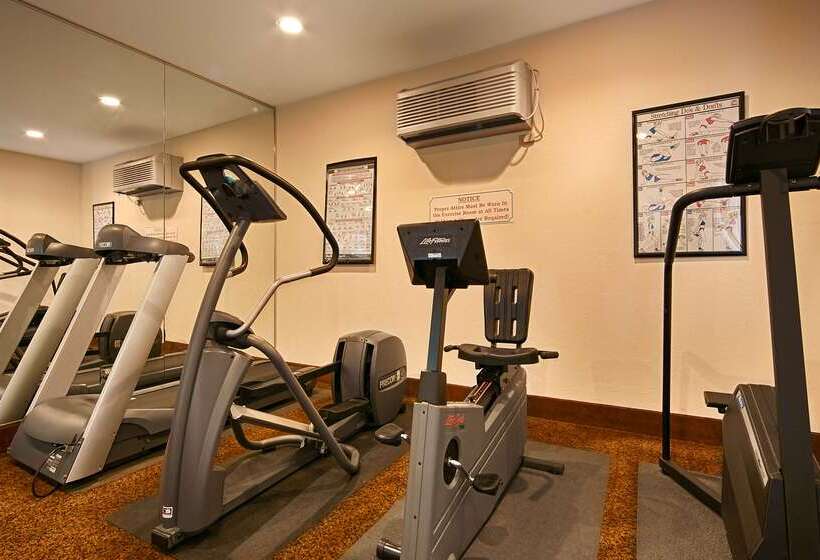 فندق Best Western Vista Inn