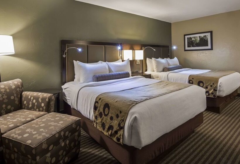 فندق Best Western Vista Inn