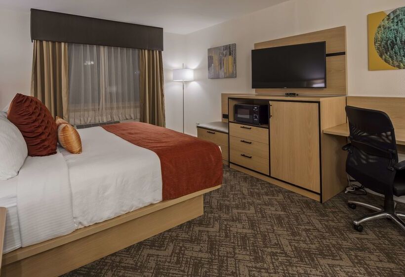 فندق Best Western Vista Inn