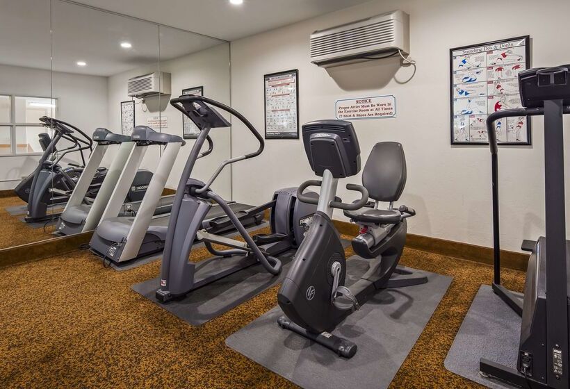 فندق Best Western Vista Inn