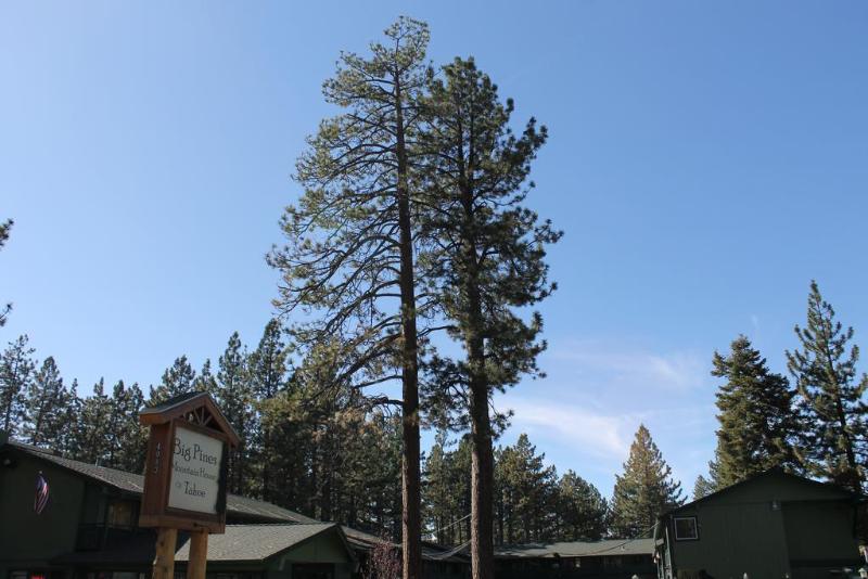 בית מלון כפרי Big Pines Mountain House