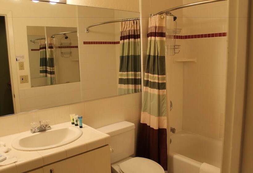 בית מלון כפרי Big Pines Mountain House