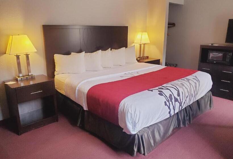 בית מלון כפרי Blackstone Lodge And Suites