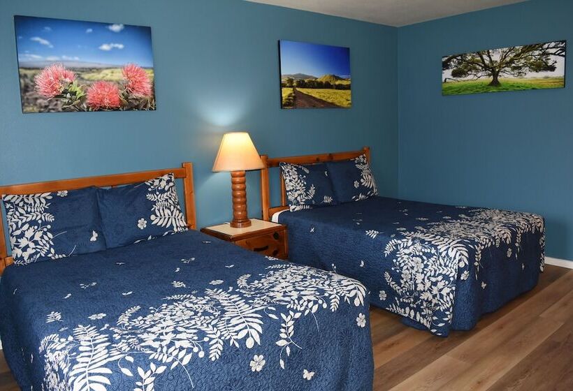 בית מלון כפרי Castle Waimea Country Lodge