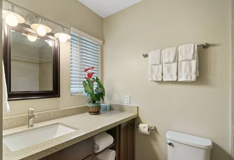 בית מלון כפרי Castle Waimea Country Lodge