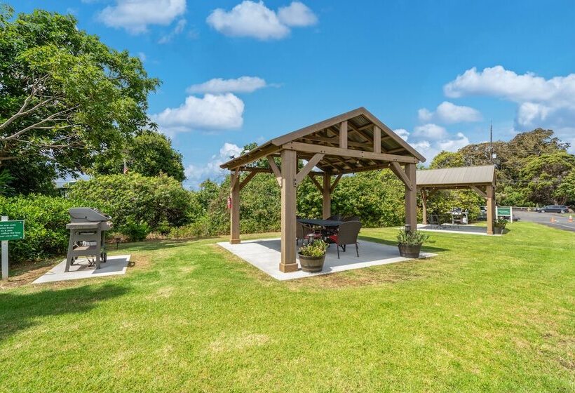 בית מלון כפרי Castle Waimea Country Lodge