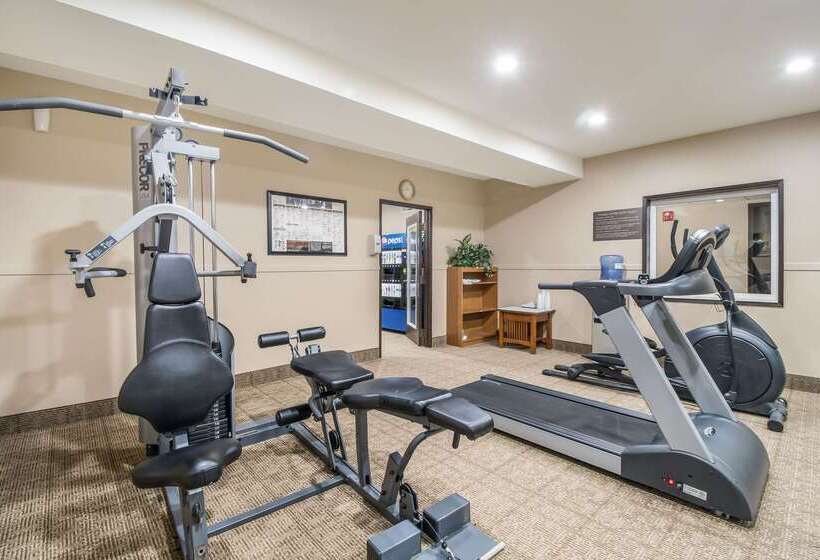 فندق Comfort Inn