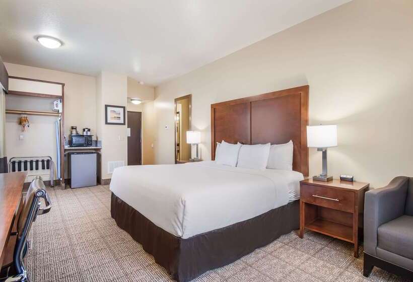 فندق Comfort Inn