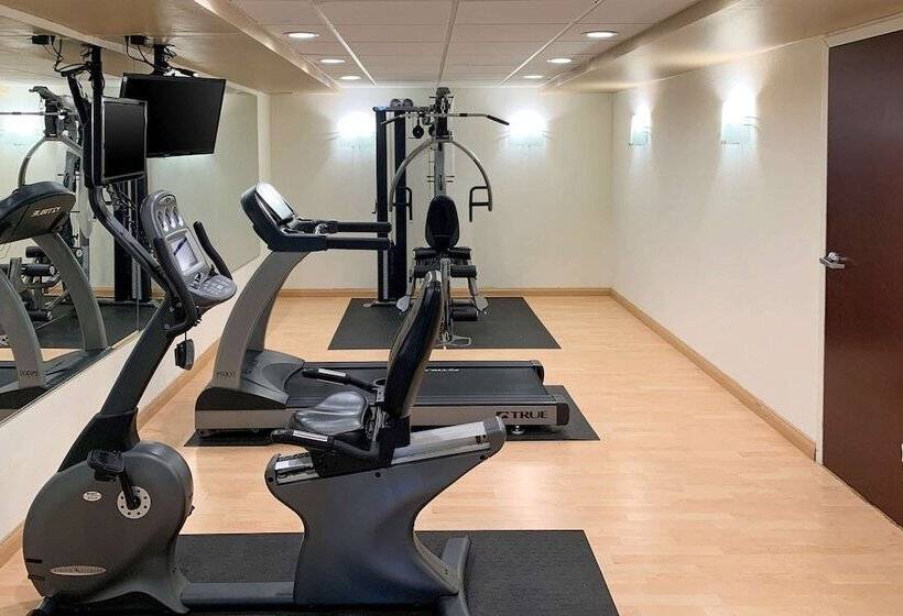 هتل Comfort Inn & Suites East Hartford  Hartford