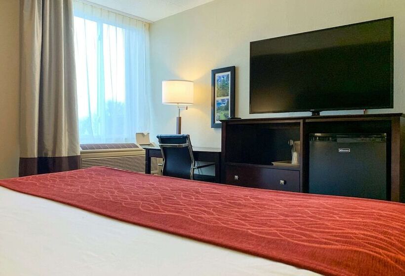 هتل Comfort Inn & Suites East Hartford  Hartford
