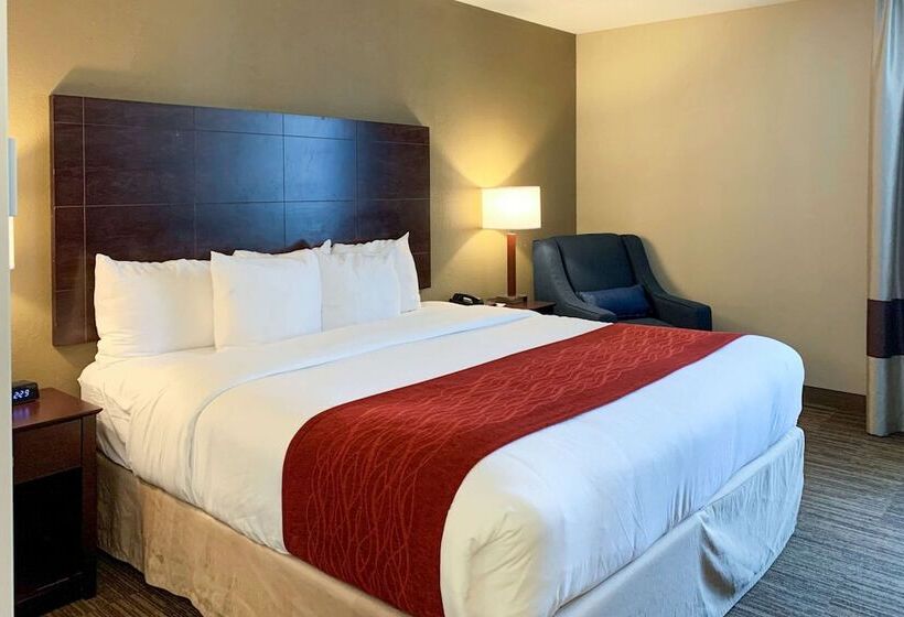 هتل Comfort Inn & Suites East Hartford  Hartford