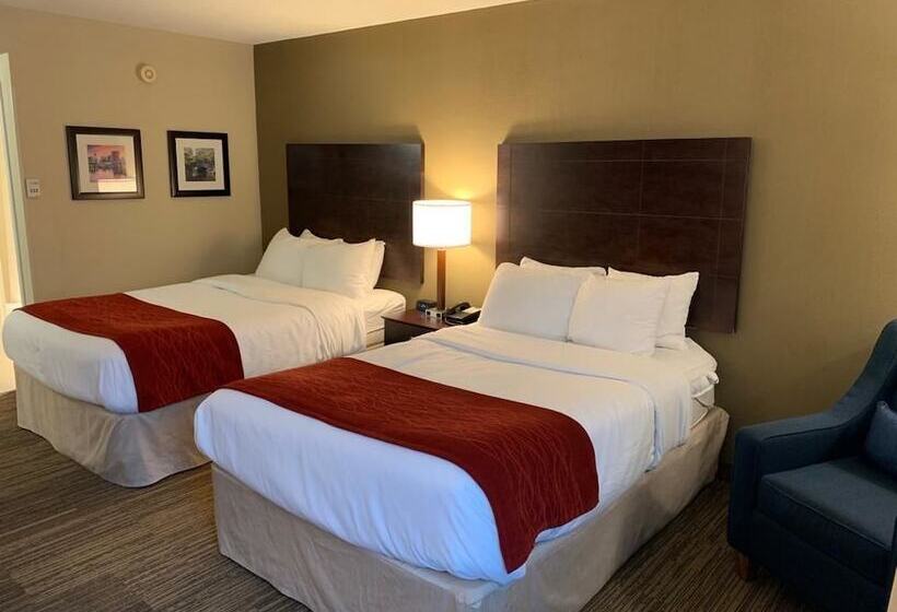 هتل Comfort Inn & Suites East Hartford  Hartford