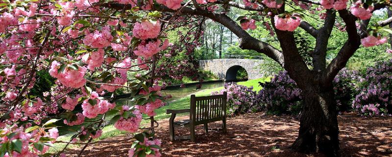 בית מלון כפרי Holiday Inn Express Chesapeake   Norfolk, An Ihg