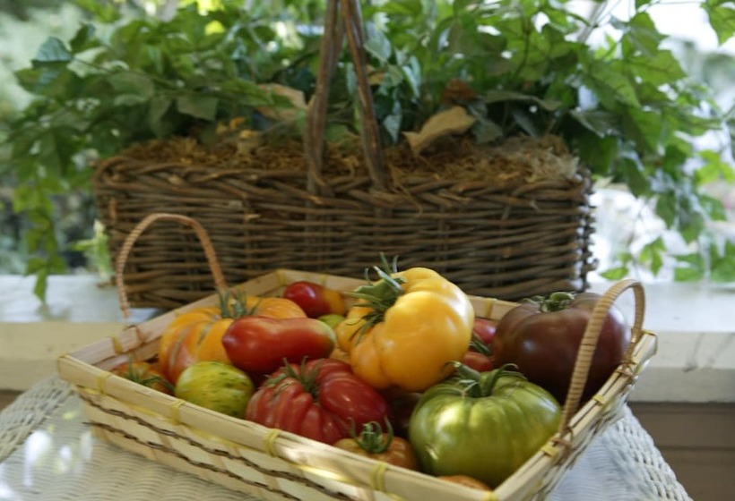 호텔 Kelley & Young Wine Garden Inn