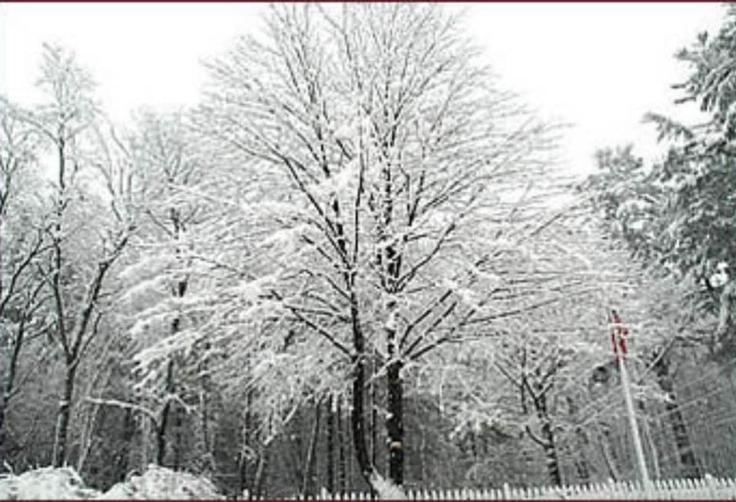 호텔 Red Elephant Inn Bed And Breakfast