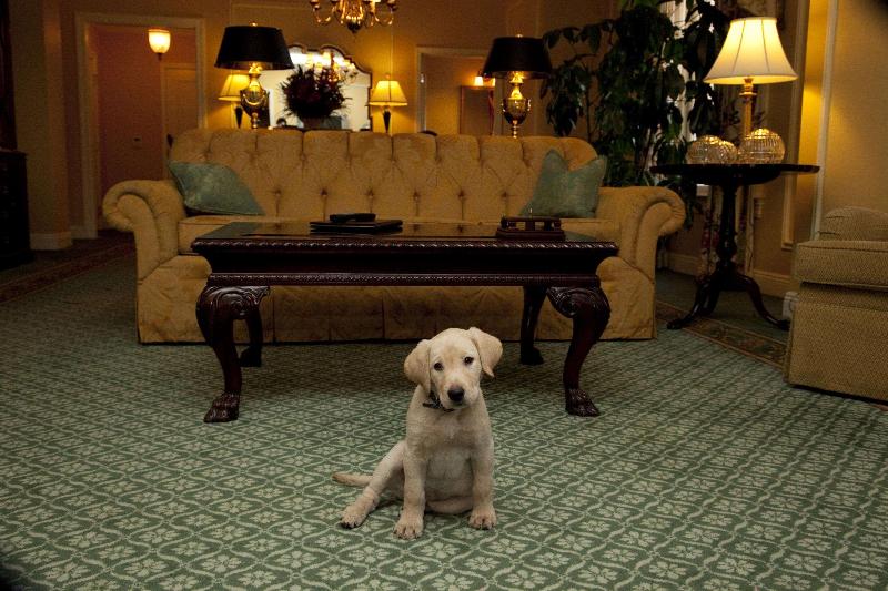 هتل The Hermitage